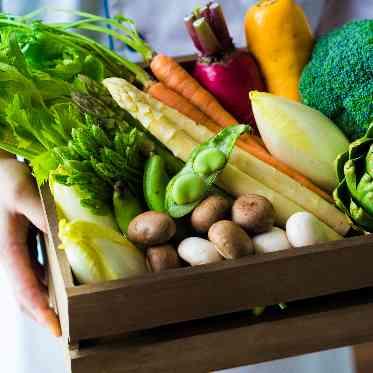 ルシアスガーデン 新鮮な⾷材本来の味わいを⽣かした料理