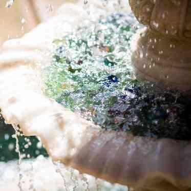 St. ヴァレンタイン福山/FIVESTAR WEDDING 開放的なガーデンには涼しげな噴水も◎お色直し入場はガーデンからサプライズで。