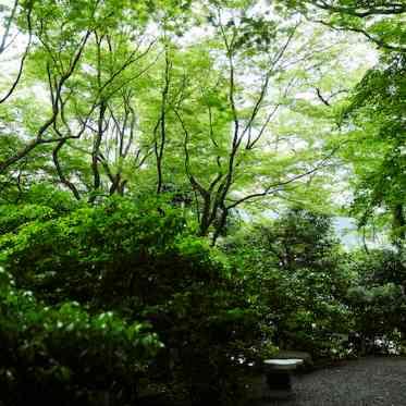ウェスティン都ホテル京都 庭園では四季の景色を感じることができる