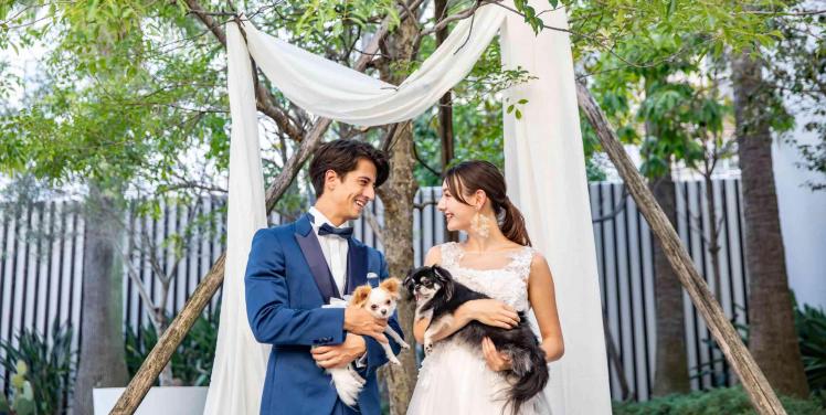 ビアンカーラ ヒルサイドテラス ガーデン