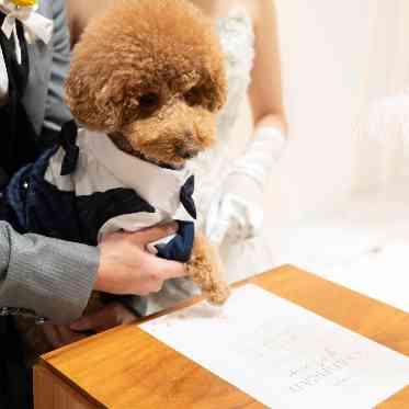 THE MORRIS ペットの挙式参加OK