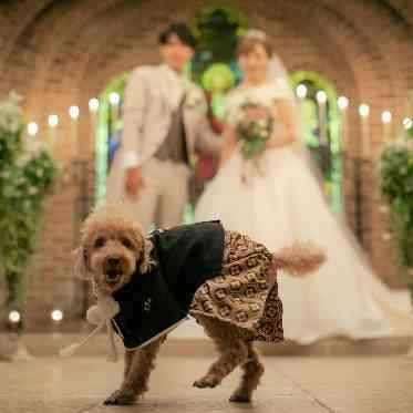 Angepatio(アンジェパティオ) ぼくだって主役!!