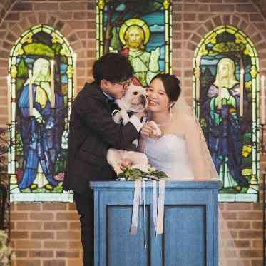 誓いのわんこキス