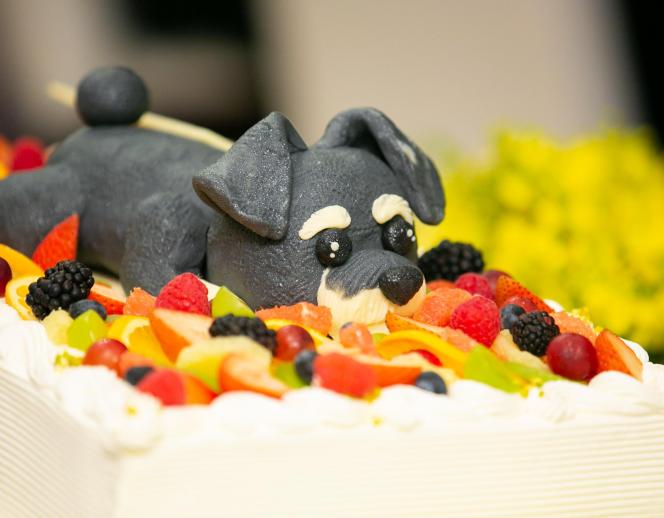 Ａｎｇｅｐａｔｉｏ（アンジェパティオ） 料理