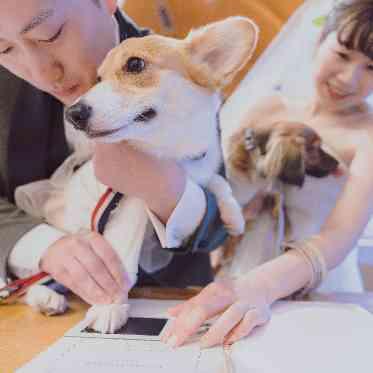 HOTEL PLAZA KOBE(ホテルプラザ神戸) ワンちゃんには「肉球スタンプ」で挙式に参加してもらおう!