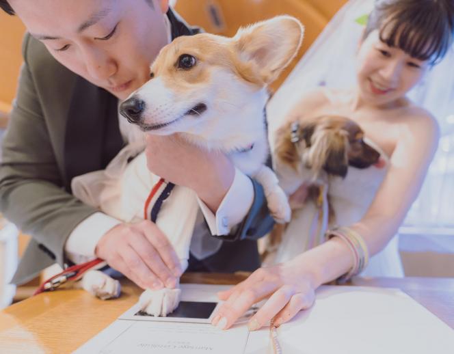 HOTEL PLAZA KOBE(ホテルプラザ神戸) 外観