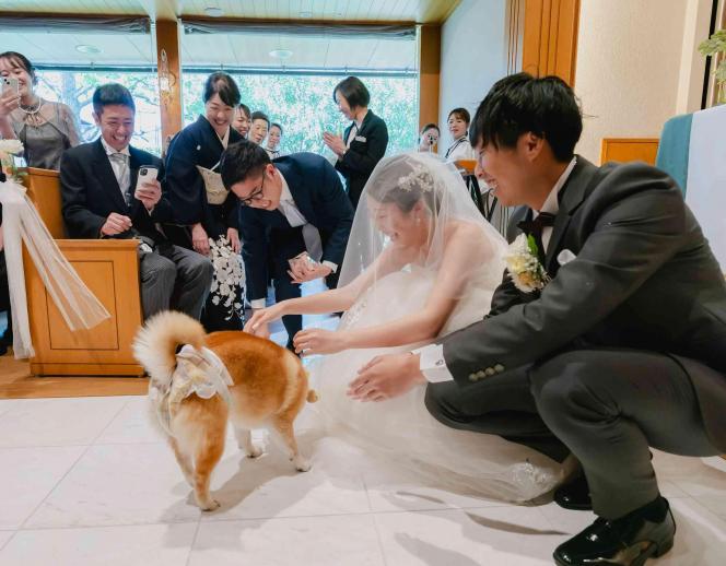 HOTEL PLAZA KOBE(ホテルプラザ神戸) 外観