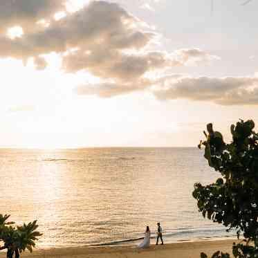 オーシャンビュー(プライベートビーチ)