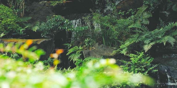 ANAインターコンチネンタルホテル東京 ガーデン