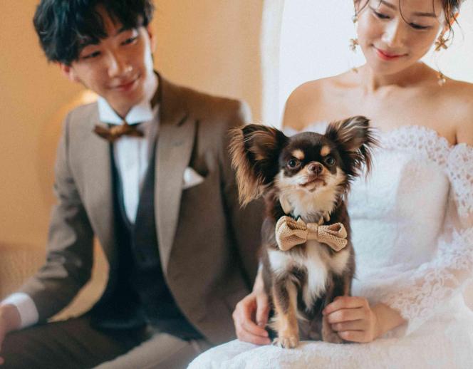 KAREN浜名湖 with Dog 外観