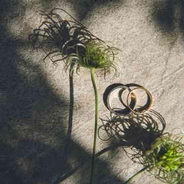 Healing Forest Garden(ヒーリング フォレスト ガーデン) リングピロー