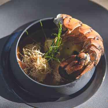 Healing Forest Garden(ヒーリング フォレスト ガーデン) フルコース料理をご提供