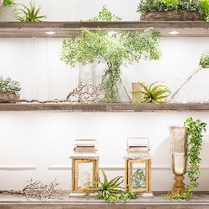 ザ コンチネンタル横浜 専用ラウンジにも緑がいっぱい