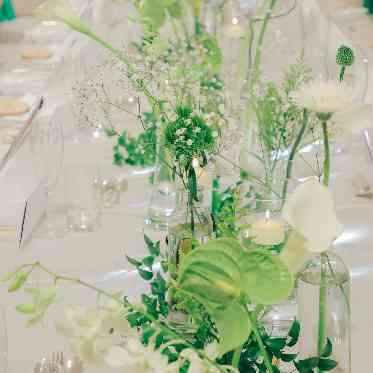 あざやかなグリーン×ホワイトがおふたりのテーマカラー