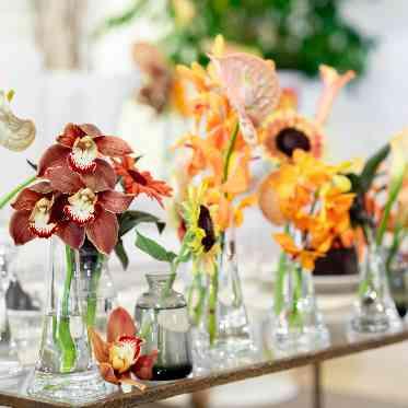 ザ コンチネンタル横浜 私たちのかけがえのない息子たち…誕生花に込めた想いを装飾に