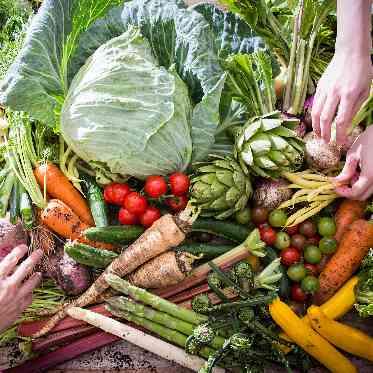 ザ コンチネンタル横浜 収穫から楽しむオリジナルメニューも。