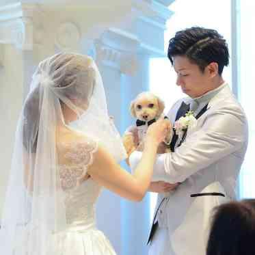 アヴァンセリアン 東京 AVANCER LIEN TOKYO 家族の一員、愛犬と一緒に♪