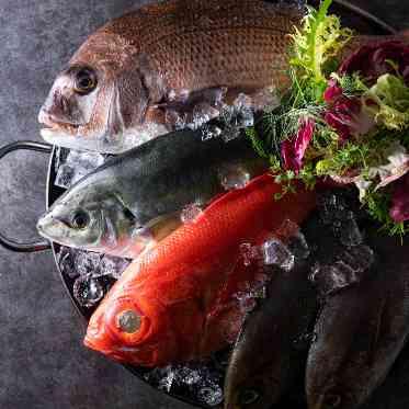 豊洲市場から仕入れた新鮮なお魚を使用した寿司ブッフェはゲストに大好評