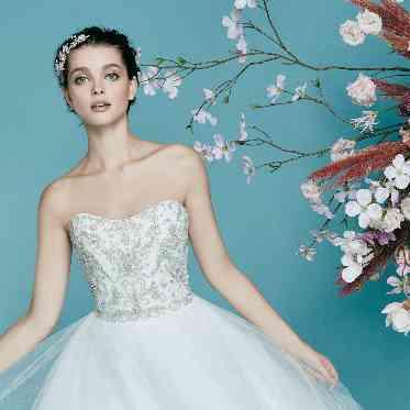 フォーシスアンドカンパニ‐