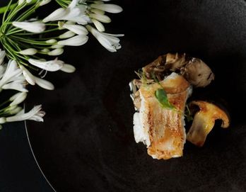 OPERAHOUSE 東京 料理の写真2