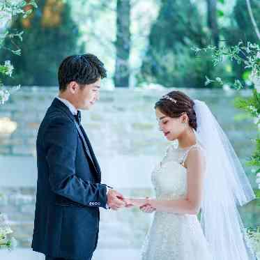 アイネスヴィラノッツェ 宝ヶ池●クラウディアホールディングス 自然光と緑があふれる空間