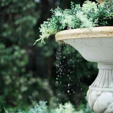 アイネスヴィラノッツェ 宝ヶ池●クラウディアホールディングス 豊かな自然に囲まれた開放的なロケーション