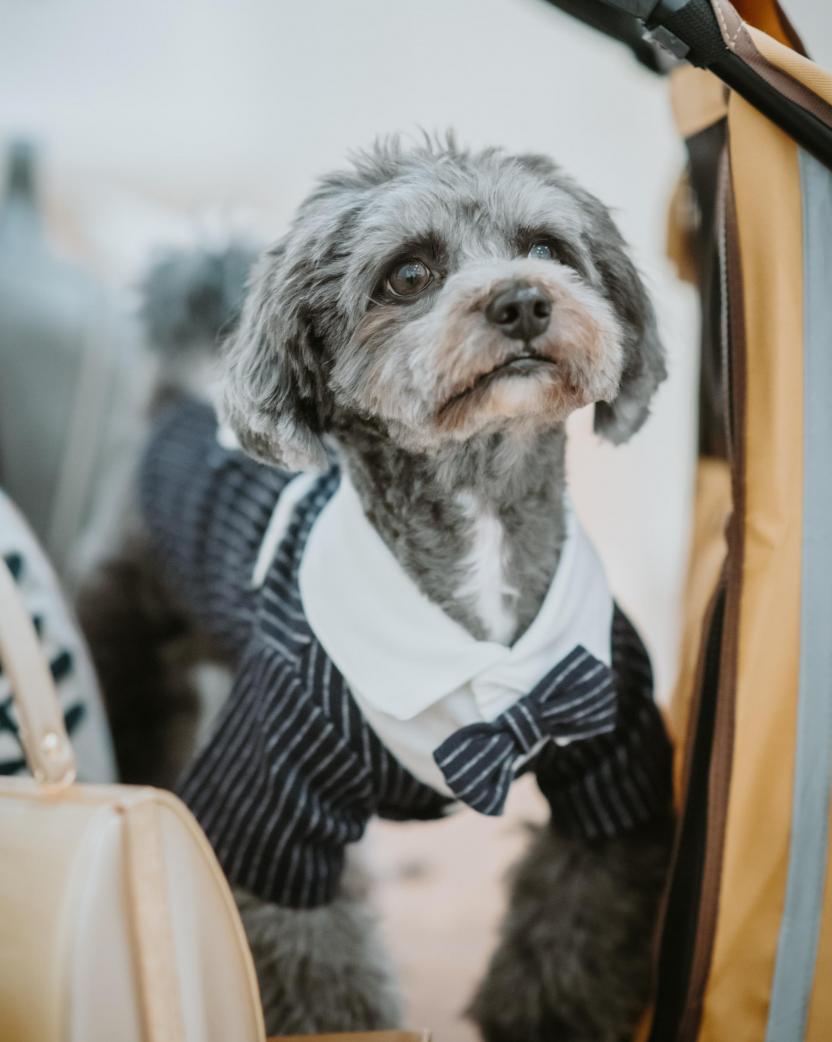 THE ABBEY CHURCH（アビー・チャーチ） ロビー・控室