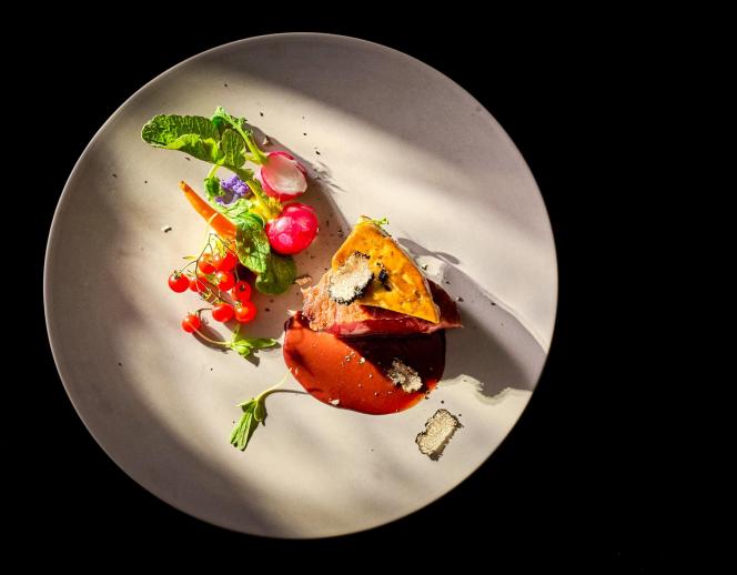 アンティアコート岡崎 料理