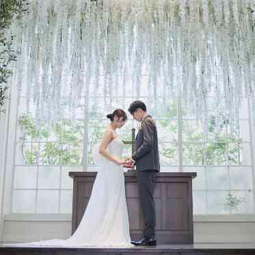 マリエール　ガーデン　バーベナ　（Marriyell Garden Verbena） シャトーペルヴィアーナ