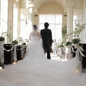 マリエール ガーデン バーベナ (Marriyell Garden Verbena) シルキーミスト