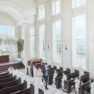 マリエール ガーデン バーベナ (Marriyell Garden Verbena) シャトーペルヴィアーナ