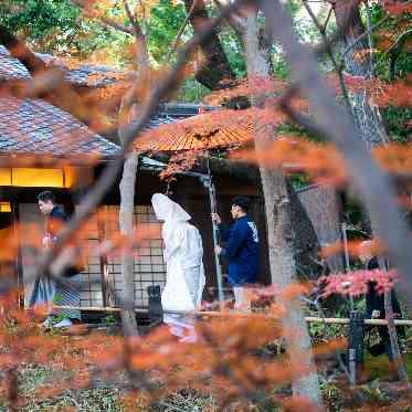 八勝館 参進の儀のコースが長いのが八勝館の特徴です。お庭をゆっくりおすすみください。
