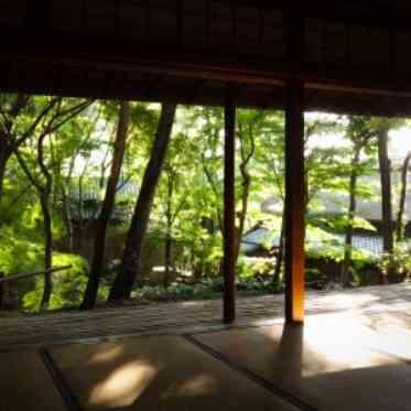 八勝館 八勝館は丘陵地に建てられています。菊の間は、建物の中で一番高い場所にあります。