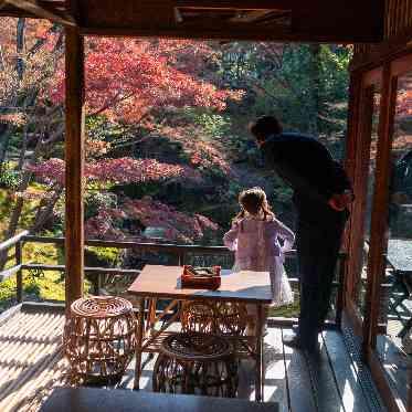観月台からお庭を愉しんでいただけます。