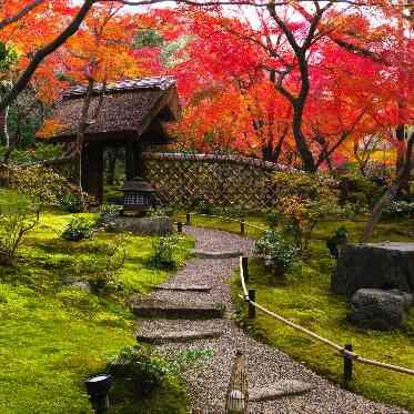 八勝館 【中門】