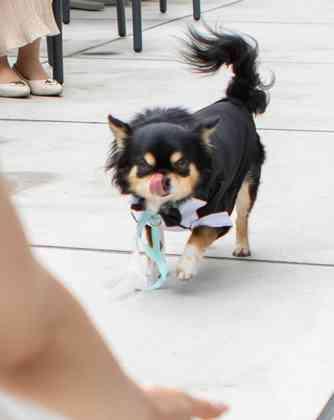 ワン・ステーションホテル熊本 ガーデン