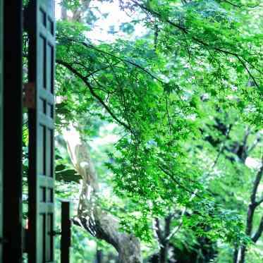 THE FUJIYA GOHONJIN(藤屋御本陳) チャペルから見える美しい景色