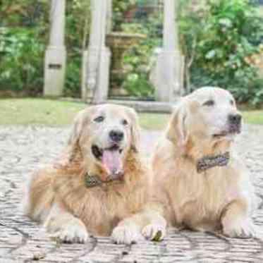 ネオス・ミラベル 愛犬と一緒に