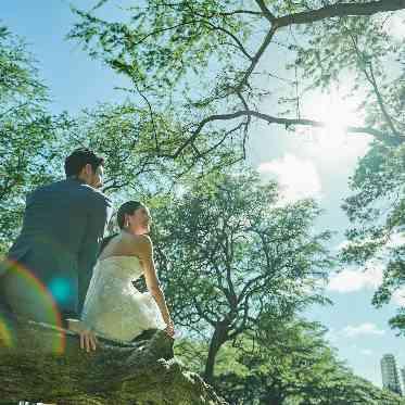 フォトツアーも