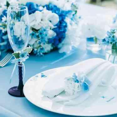 贅沢なプライベートリゾートパーティ