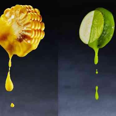 浜名湖オーベルジュ キャトルセゾン ・