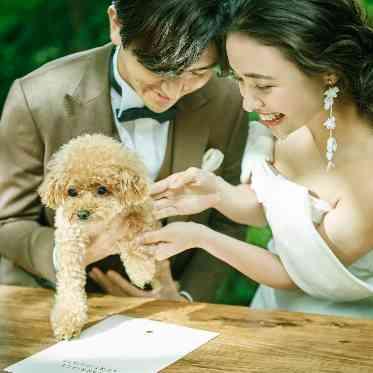 WeGreen RESORT(ウィグリーン リゾート) 大切な時間を、ペットとずっと一緒に過ごせる結婚式場です