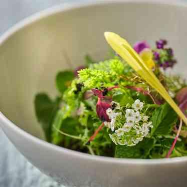 WeGreen RESORT(ウィグリーン リゾート) 地元熊本産の旬の食材にこだわり、素材本来の味わいを最大限に引き出した美食