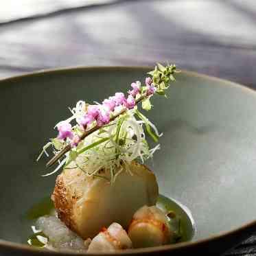 WeGreen RESORT(ウィグリーン リゾート) 経験のない『美味しい』を提供する新時代の美食が誕生