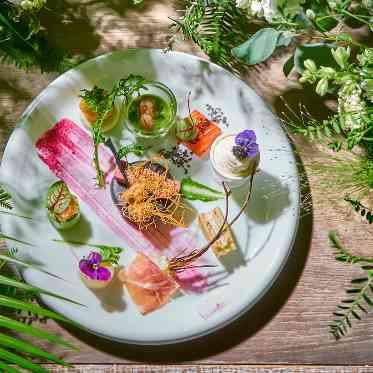 熊本産の食材にこだわったお料理を提供