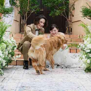 アネーリ大宮(旧:ヴィラ・デ・マリアージュさいたま) ワンちゃんと叶う、南フランスの街全部が挙式の舞台に