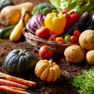 アネーリ大宮（旧：ヴィラ・デ・マリアージュさいたま） 埼玉県岩槻市から届く新鮮な食材たち。生産者の想いを届ける、旬素材が主役