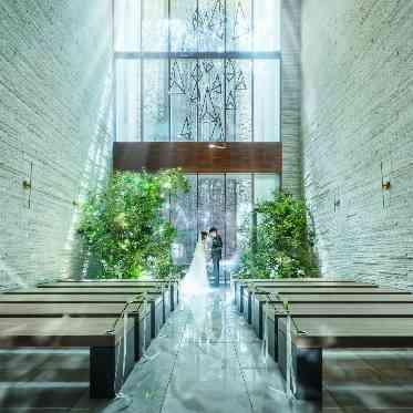 L2126 水と緑、自然光が織りなす幻想的な空間。