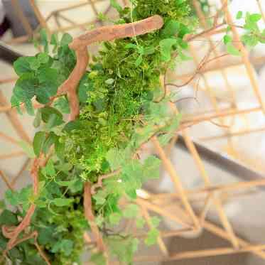 L2126 天井もオリジナルの装飾ができるようなデザインになっている