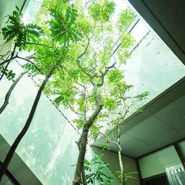 都心ながら開放感を感じる空間